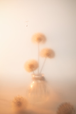 [object Object] undefined