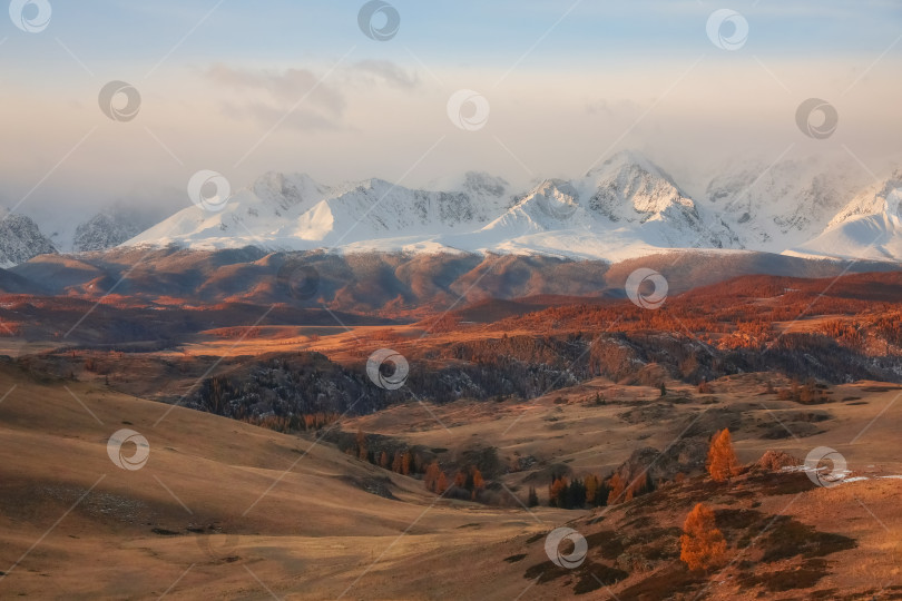 Скачать Величественные алтайские горы с заснеженными вершинами фотосток Ozero