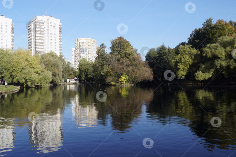 Скачать Пруд в городском парке в солнечный, безоблачный день фотосток Ozero