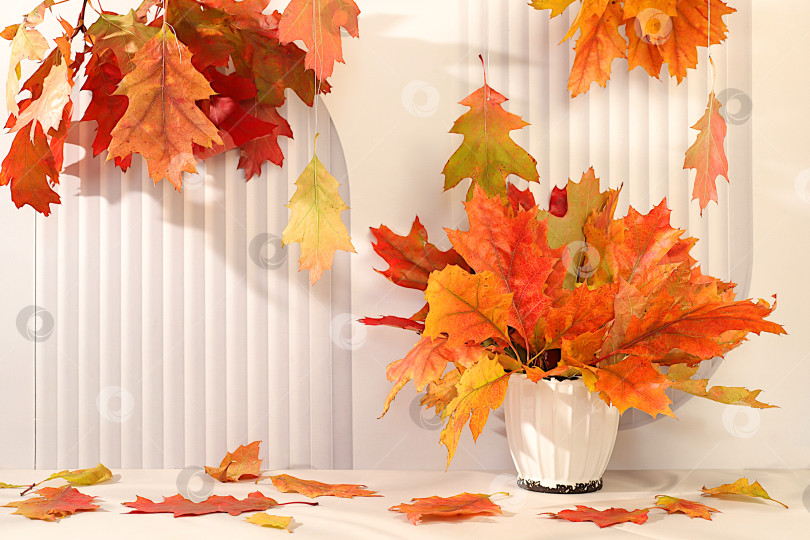 Скачать Креативная осенняя композиция и баннер для демонстрации. Пустой современный элегантный столик для демонстрации продуктов с кленовыми листьями на фоне кухни, осенняя концепция в стиле минимализма. Поздравительная открытка с Днем благодарения фотосток Ozero