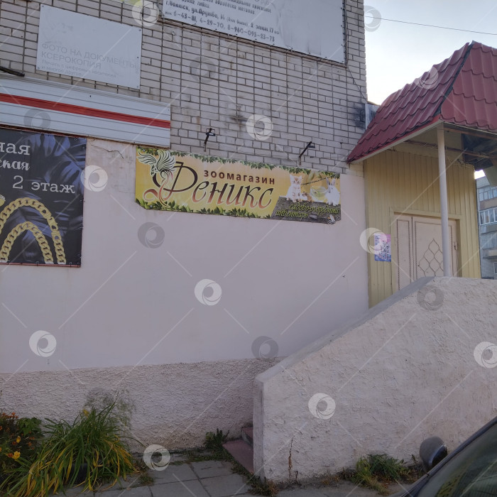 Скачать Зоомагазин "Феникс". фотосток Ozero