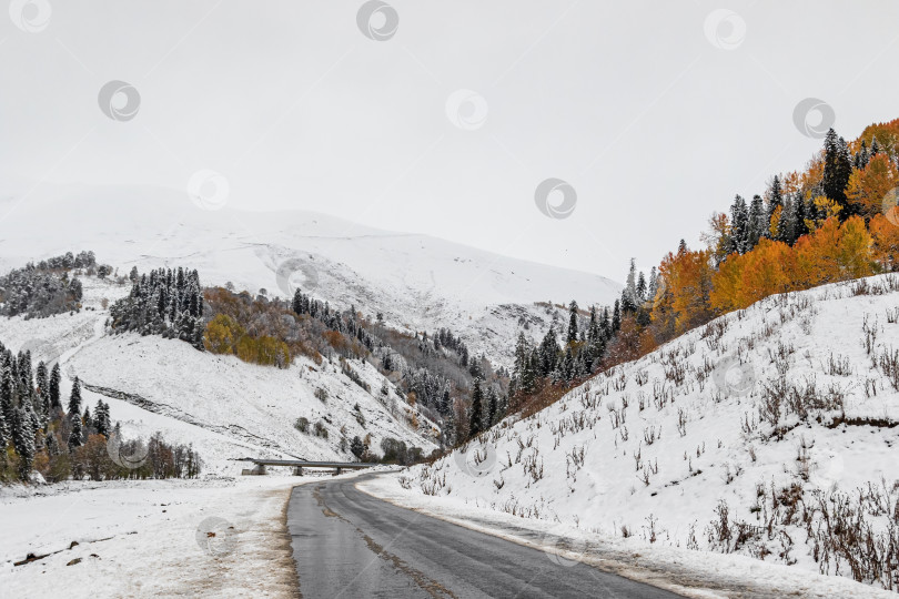 Скачать Зимняя дорога среди лесов в горах фотосток Ozero