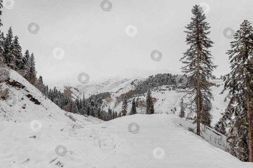 Скачать Зимний горный покой. Первый осенний снег в горах фотосток Ozero