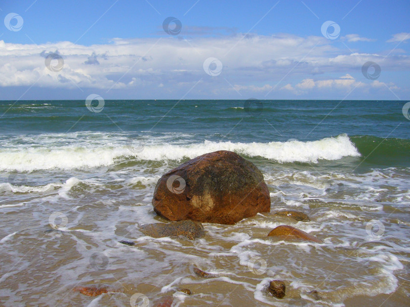 Скачать Пляж в Калининграде фотосток Ozero