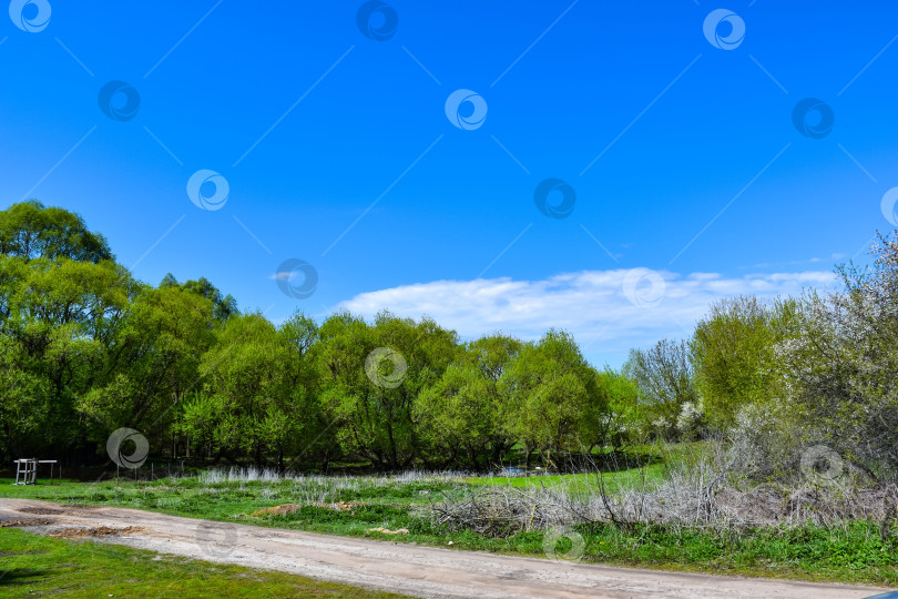 Скачать Сельский пейзаж. фотосток Ozero