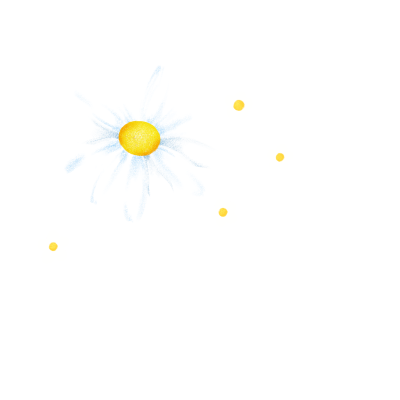 [object Object] undefined
