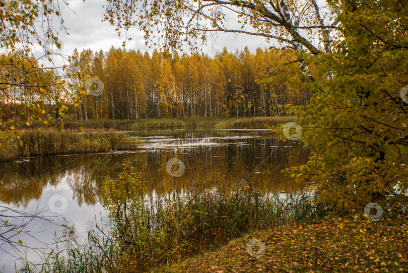 Скачать Осень на озере фотосток Ozero