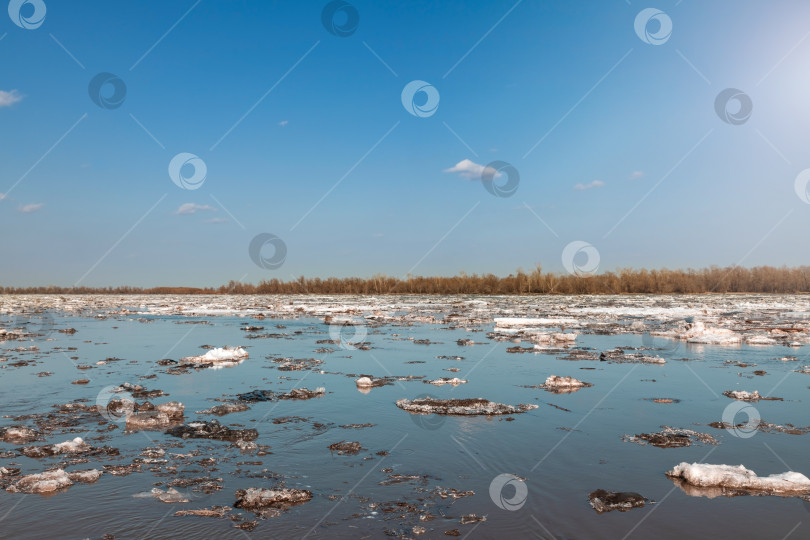 Скачать Ледоход на реке Обь, Алтайский край фотосток Ozero