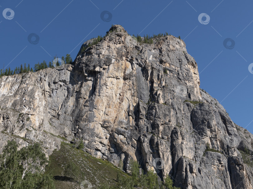 Скачать Горный пейзаж со скалой и зеленым лесом фотосток Ozero