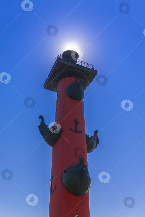 Скачать Россия, Санкт-Петербург, Ростральная колонна, солнечное сияние на фоне голубого неба, август 2018 года фотосток Ozero
