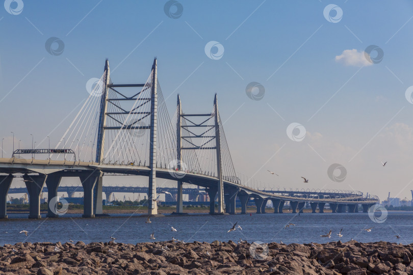 Скачать Россия Мост Западного скоростного диаметра Санкт-Петербурга через Финский залив, август 2018 года фотосток Ozero
