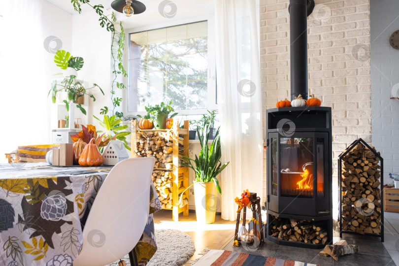 Скачать Яркий солнечный интерьер дома с черным металлическим камином-печкой с огнем и дровами с декором на Хэллоуин и осенним настроением. Уютный домашний очаг в интерьере с комнатным растением в горшке фотосток Ozero