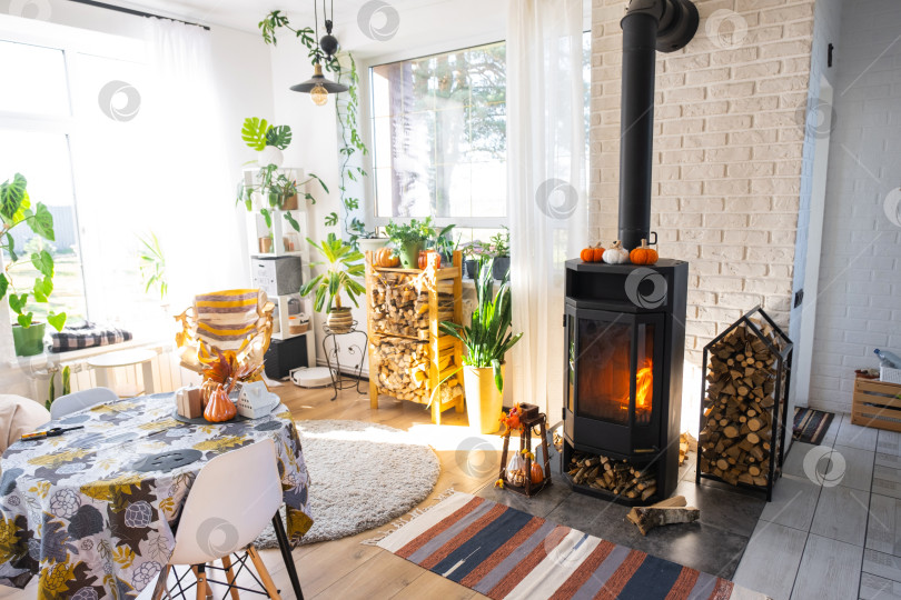 Скачать Яркий солнечный интерьер дома с черным металлическим камином-печкой с огнем и дровами с декором на Хэллоуин и осенним настроением. Уютный домашний очаг в интерьере с комнатным растением в горшке фотосток Ozero