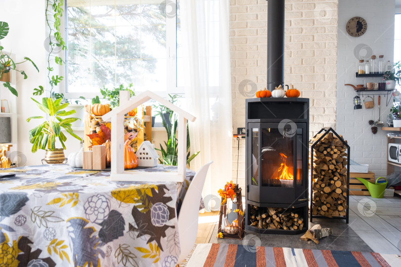 Скачать Яркий солнечный интерьер дома с черным металлическим камином-печкой с огнем и дровами с декором на Хэллоуин и осенним настроением. Уютный домашний очаг в интерьере с комнатным растением в горшке фотосток Ozero