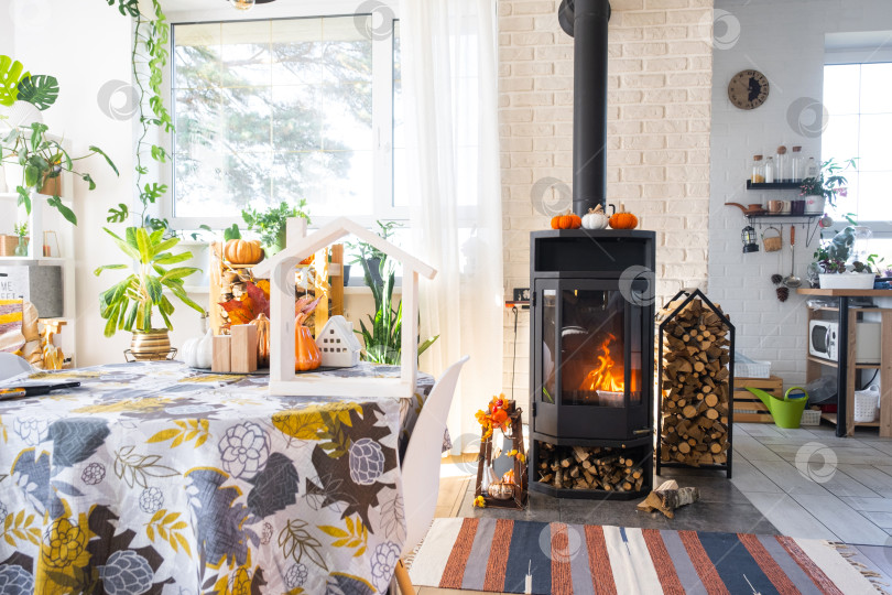 Скачать Яркий солнечный интерьер дома с черным металлическим камином-печкой с огнем и дровами с декором на Хэллоуин и осенним настроением. Уютный домашний очаг в интерьере с комнатным растением в горшке фотосток Ozero