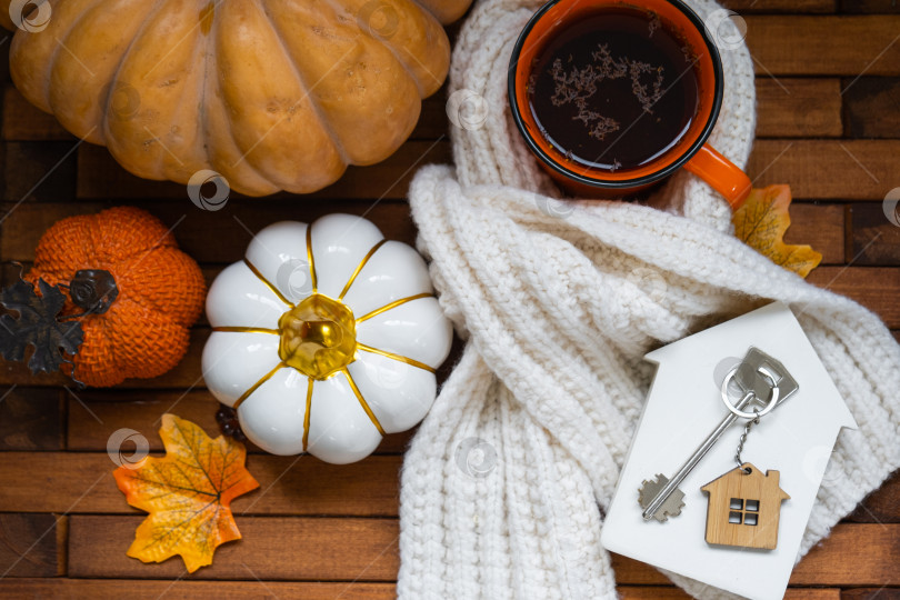 Скачать Уютный макет на деревянном фоне из реек с тыквами, осенними листьями, крошечным домиком и ключами - осеннее настроение, Хэллоуин, жилье, переезд, ипотека, страховка. фотосток Ozero