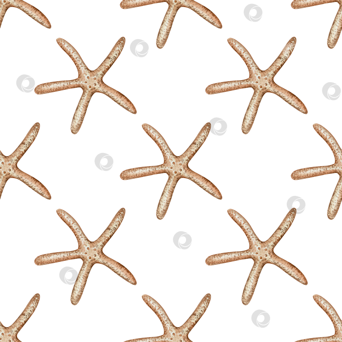 Скачать бесшовный узор с изображением морской звезды фотосток Ozero