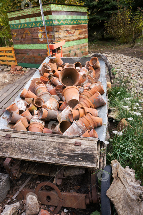 Скачать Казань, Татарстан, Россия – 05 октября 2025: Зооботсад. Уголок Мексики фотосток Ozero