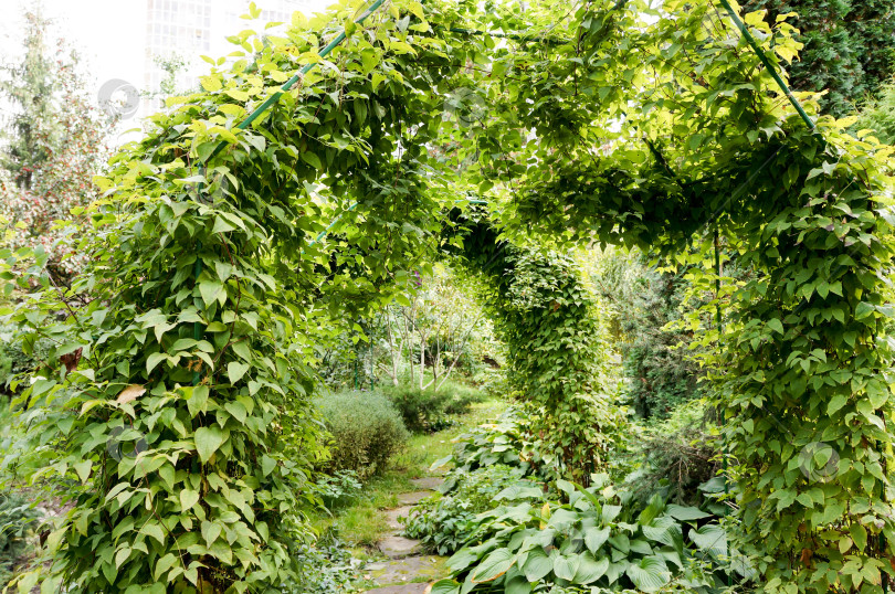 Скачать Казань, Татарстан, Россия – 05 октября 2025: Зооботсад.  Аллея растений фотосток Ozero