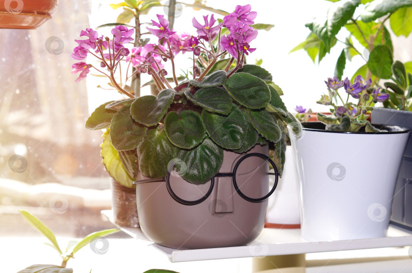 Скачать Саратов, Россия - 30 апреля 2024 года. Описание фильма "Мгновенный срыв" Оса и Макдональд (Дж. Макдональд) фотосток Ozero