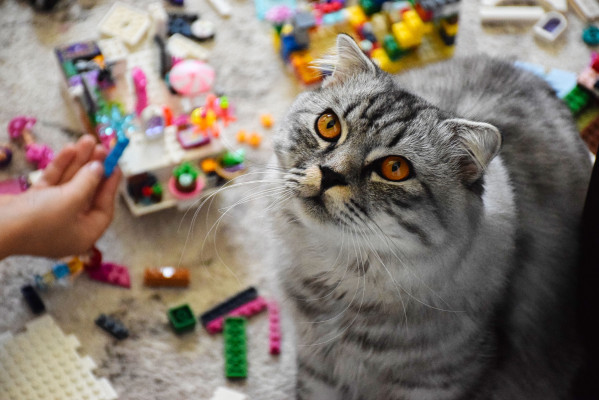 [object Object] undefined