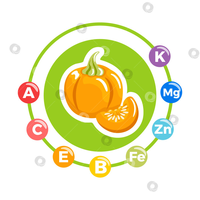 Скачать Увлекательная инфографика, рассказывающая о ярких и богатых питательными веществами свойствах оранжевой тыквы фотосток Ozero