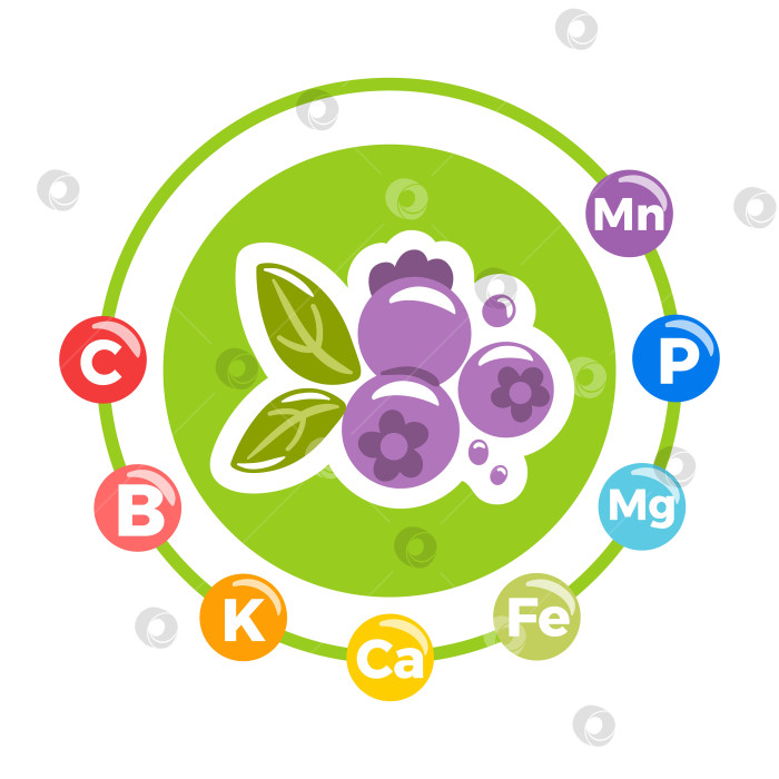 Скачать Изучение питательных свойств черники и необходимых питательных веществ в нашем рационе фотосток Ozero