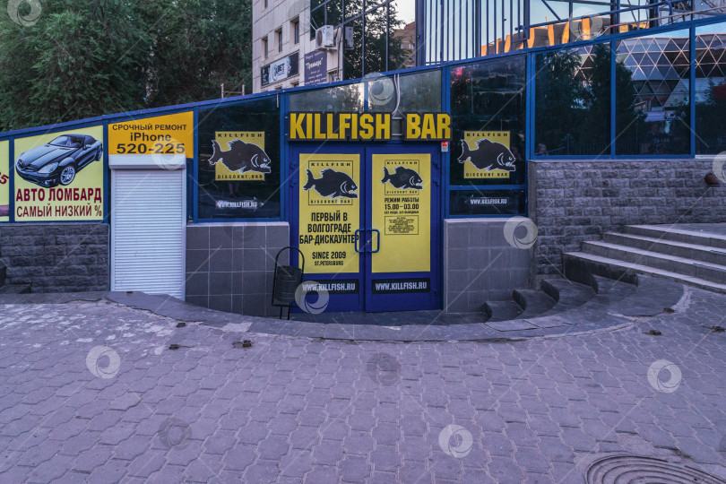 Скачать бар-дискаунт фотосток Ozero