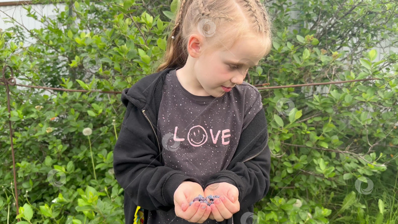 Скачать Видео: Девушка держит в руках ягоды шафрана фотосток Ozero