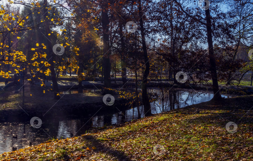 Скачать Солнечные лучи пробиваются сквозь фотосток Ozero