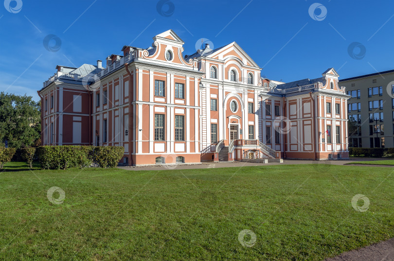 Скачать Кикины подопечные фотосток Ozero