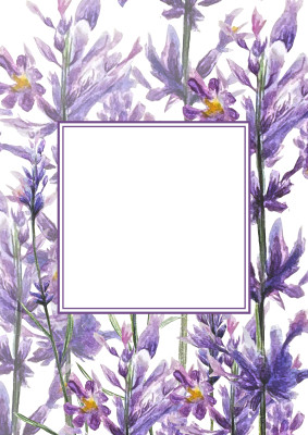 [object Object] undefined