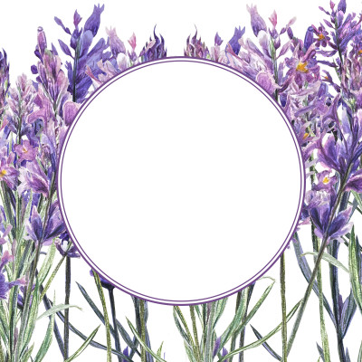 [object Object] undefined