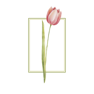 [object Object] undefined