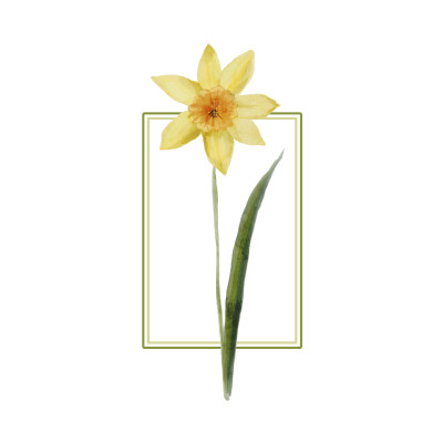 [object Object] undefined