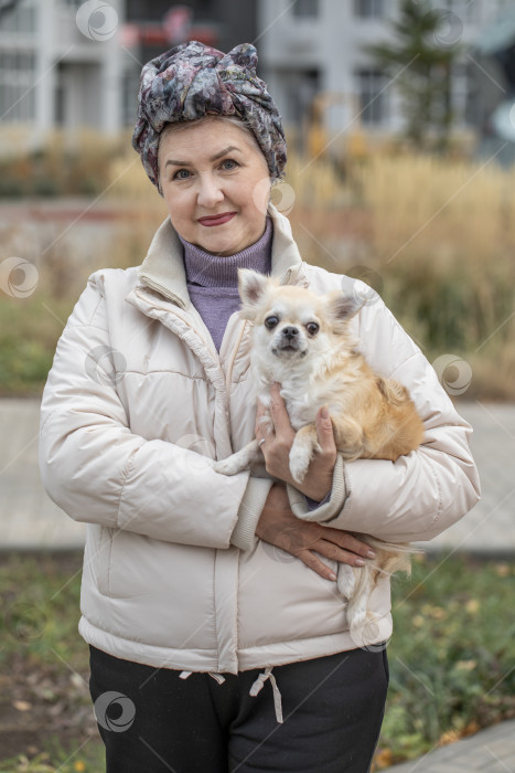 Скачать Портрет пожилой дамы с ручной собачкой длинношерстной чихуахуа фотосток Ozero