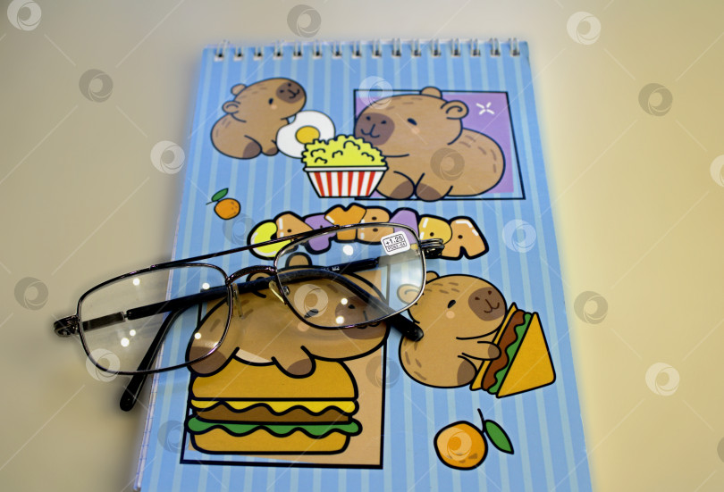 Скачать Очки и блокнот. фотосток Ozero