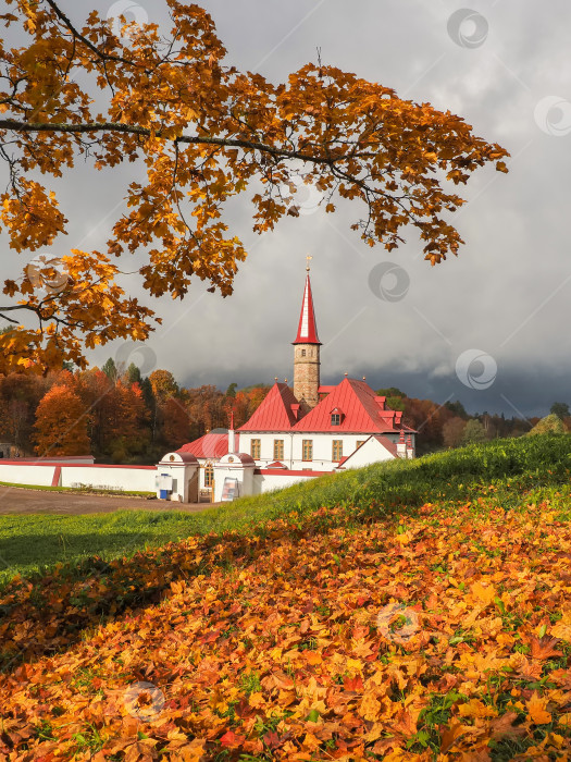 Скачать Старый дворец. Гатчинский монастырский дворец. Россия фотосток Ozero