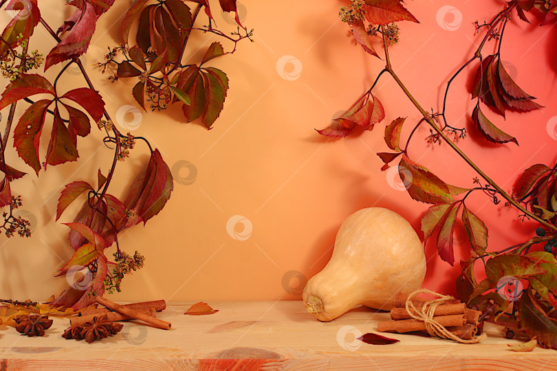 Скачать Креативная осенняя композиция и баннер для оформления. Пустой, современный, элегантный стол-витрина с кленовыми листьями и тыквами - осенняя концепция в стиле минимализма. Поздравительная открытка с Днем благодарения. фотосток Ozero