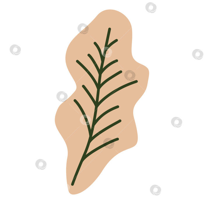 Скачать Свежие листья красного салата-латука, органические ингредиенты рукколы, здоровая вегетарианская пища, зелень, выращенная на ферме, питательная диета, растительная пища. Векторная иллюстрация в плоском стиле. фотосток Ozero