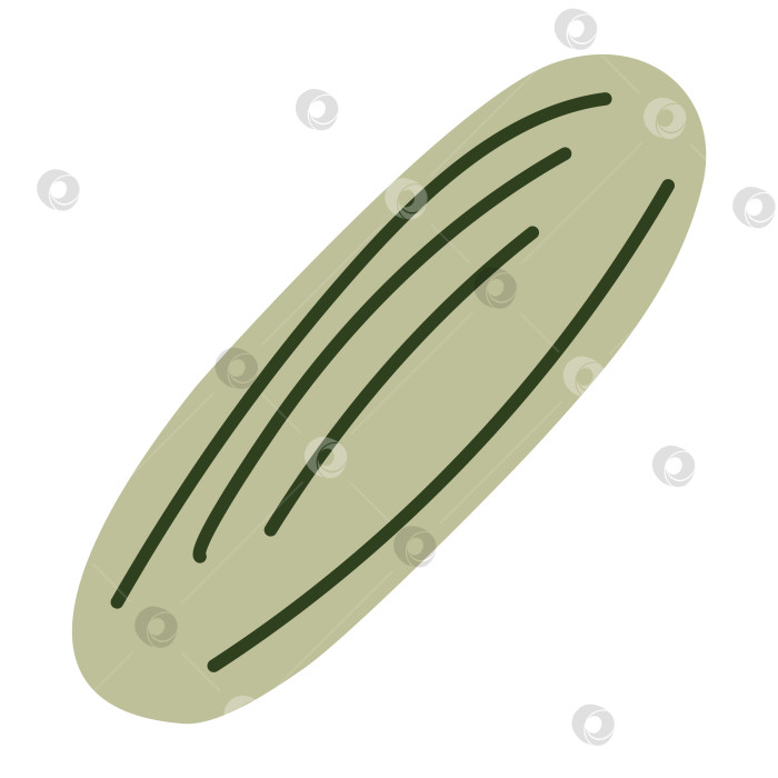 Скачать Зеленый цуккини, свежий огурец, органический садовый урожай, сырая летняя тыква, полезный ингредиент для приготовления пищи, нарисованный от руки значок еды, простой натуральный продукт. Векторная иллюстрация в плоском стиле. фотосток Ozero