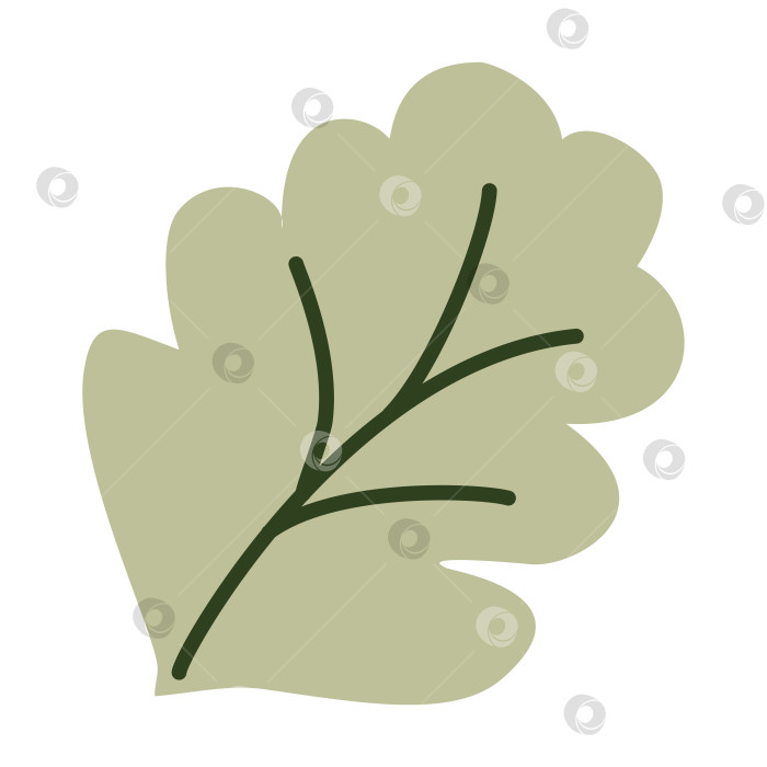 Скачать Свежая зеленая капуста и листья салата-латука, органические ингредиенты для салатов, здоровая вегетарианская пища, зелень, выращенная на фермах, питательная диета, растительная пища. Векторная иллюстрация в плоском стиле. фотосток Ozero