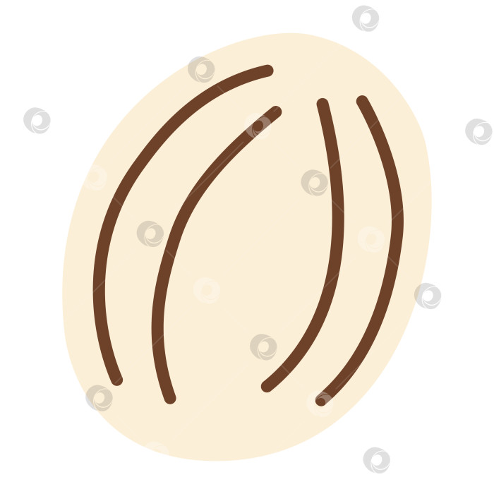 Скачать Свежая белая дыня, цельные сочные летние фрукты, органический сладкий арбуз, тропическая здоровая пища, освежающие фермерские продукты, дизайн, вдохновленный природой, вегетарианская диета. Векторная иллюстрация в плоском стиле. фотосток Ozero