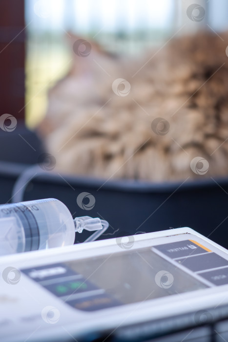 Скачать На планшете изображен шприц с кошкой на заднем плане фотосток Ozero