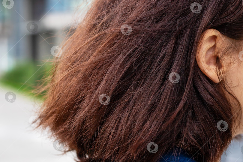 Скачать Здесь можно увидеть детальный снимок волос и уха женщины крупным планом фотосток Ozero