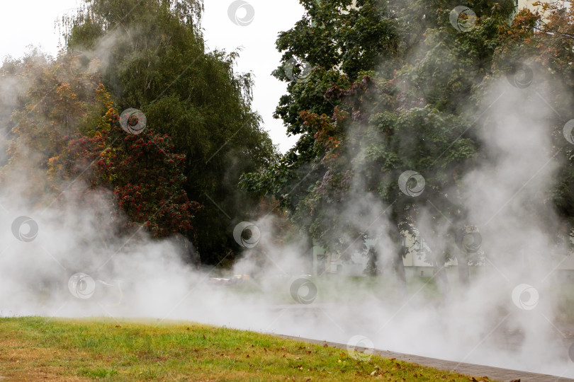 Скачать В парке из-под земли поднимается дым, создавая сцену фотосток Ozero