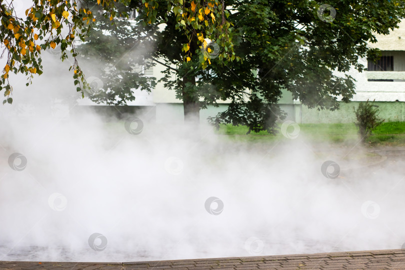 Скачать Туман в низинах парка и пар под зеленой листвой - Атмосферный городской туман фотосток Ozero