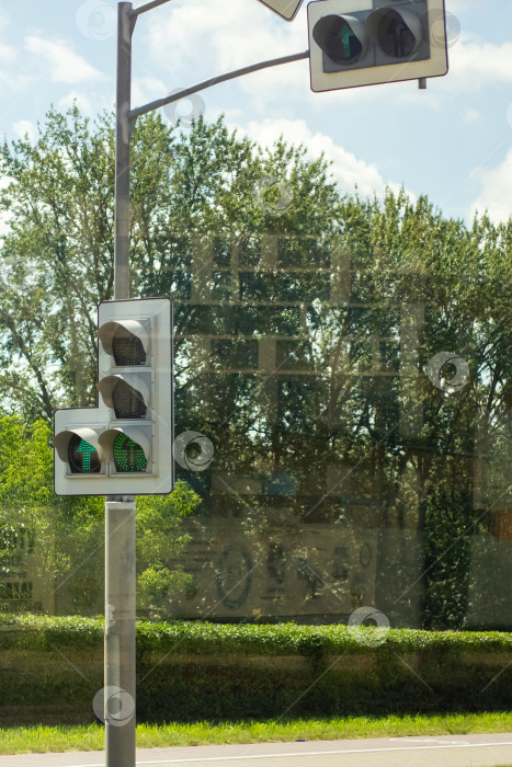 Скачать Светофор, установленный на столбе, на фоне зеленых деревьев фотосток Ozero