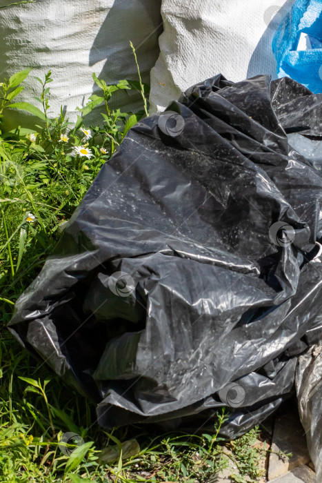 Скачать Черный пластиковый пакет небрежно лежит на земле в траве фотосток Ozero