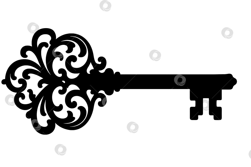 Скачать Иллюстрация черепа в готическом стиле на Хэллоуин, изолированная на прозрачном фоне фотосток Ozero